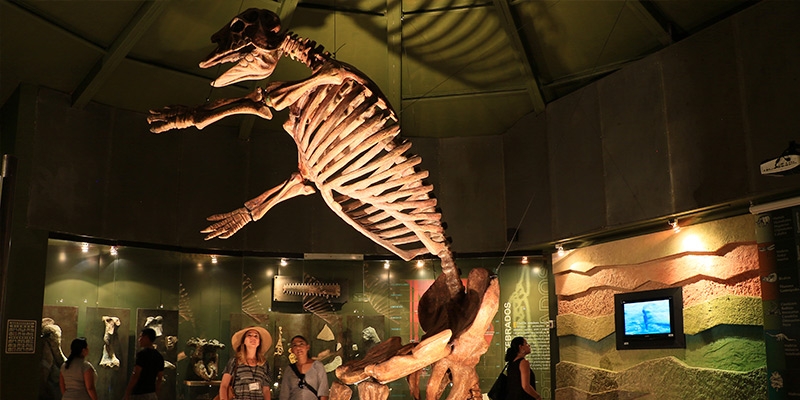 Eliseo Palacios Aguilera Museum of Paleontology