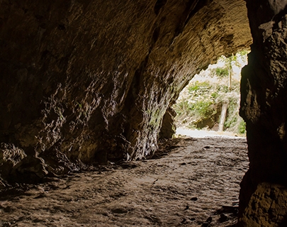 Mammoth Grotto Tourist Center